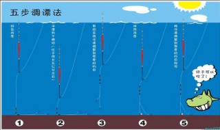 单钩七星漂调漂方法 方法步骤