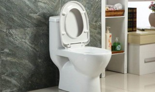 抽水马桶返臭怎么办 为你介绍解决方法