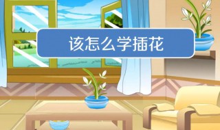 怎么学插花 牢记这些你就可以动手制作插花了