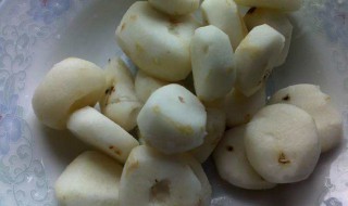 马蹄怎么去皮比较快 马蹄快速去皮小窍门