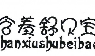 含羞草公司离火车站有多远 含羞草是什么公司