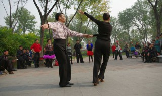 24步双人舞怎么跳 请看回答