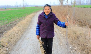 八十岁老太太穿什么春秋衫好看 推荐颜色协调有印花的春秋衫