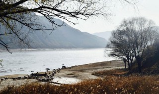 适合初冬的情话 5句情话温暖了初冬