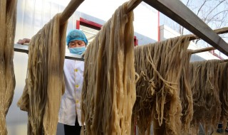 如何辨别假粉干 真假红薯粉条的鉴别方法