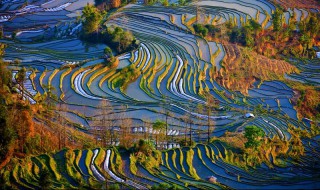 哈尼梯田最佳旅游时间 导游是这样说的