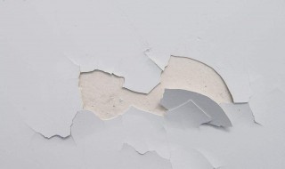 墙皮开裂怎么办 快来看看吧