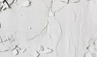 墙皮开裂怎么处理 墙皮开裂怎么办