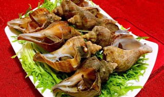 大海螺怎么煮 达人教你如何轻松制作美食