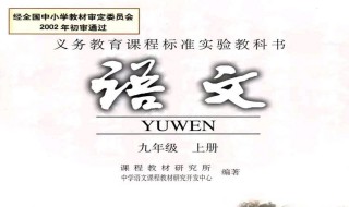 卷面分析怎么写语文 语文卷面分析写法教程