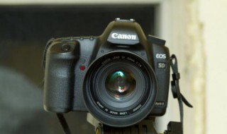 定焦拍摄技巧 拍摄时可以多移动