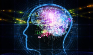 大脑记忆原理 大脑是如何进行记忆的？