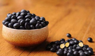 药黑豆和普通黑豆的区别 药黑豆和普通黑豆是同一种豆吗