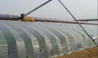 蔬菜大棚里面怎么取暖 为你介绍2种方式