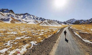 权力征途大结局 来看看咯