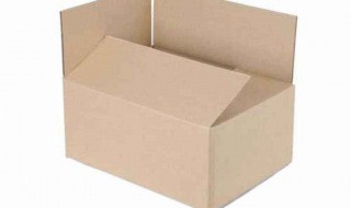 纸箱子如何自制种菜盆 把握这些内容