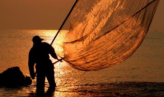 梦到水里捞东西 梦到这些你一定要小心