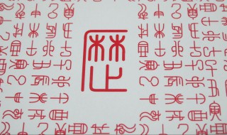 76年天干地支是什么 1976年是农历丙辰年(龙年)