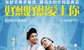 好想好想爱上你大结局 结局在意料之中