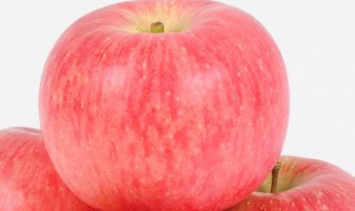 陕西最出名的水果 详细