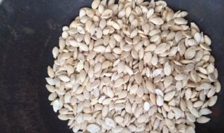 冬瓜籽能种植 冬瓜适温多少