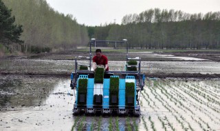 插秧机使用方法 需要掌握这些内容