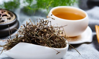 龙利草酒配方 白花蛇舌草酒怎么配