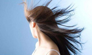 梦见头发里有虫子扔掉 这5个方面来分析一下