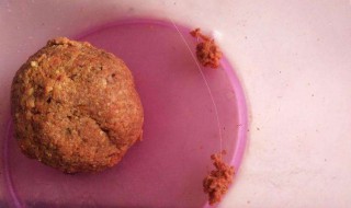 深秋野钓鲫鱼饵料 一般有哪些