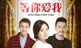 等你爱我电视剧结局 电视剧等你爱我的大结局是什么