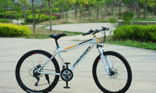 phoenix是什么品牌 什么类型的