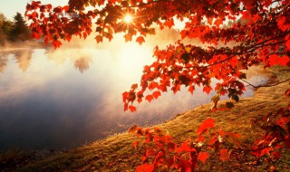 重庆看红叶哪里最好 重庆人少看红叶的好地方