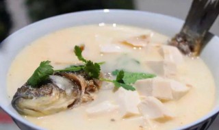 鲫鱼汤的正确做法喝鲫 如何做好喝的鲫鱼汤
