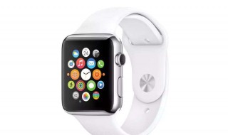 苹果手表可以自己换电池吗? 电子产品保养