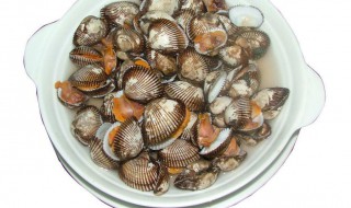 香葱拌白蚶子做法 香葱拌白蚶子怎么做