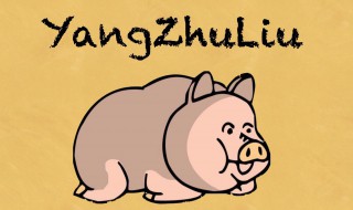 养猪是什么游戏 养猪是什么游戏模式