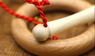 花椒木磨牙棒有什么好处 给大家进行讲解