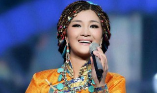 藏族歌手只能唱藏语吗 请看回答