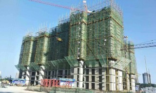 十日十二日浇的房顶六天了还用浇水吗? 请看回答