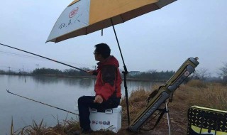 野钓用吃铅量多大的漂 野钓漂用吃铅多少的合适?