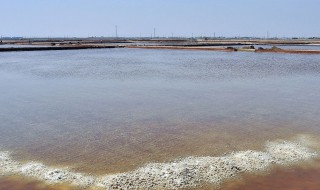 杀菌盐与海水素区别 养鱼必备小知识!