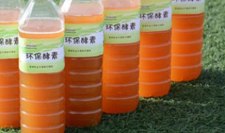 酵素的制作方法和配方 简单几步告诉你