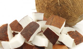 椰肉的功效与作用禁忌 吃椰子肉的功效与好处