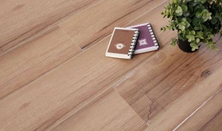 木地板种类及优缺点 教你选择地板技巧