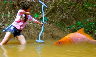 射鱼教学怎么打的准 3个步骤要记牢