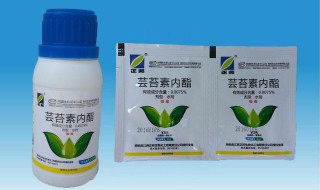 芸苔素使用十大禁忌 要避免