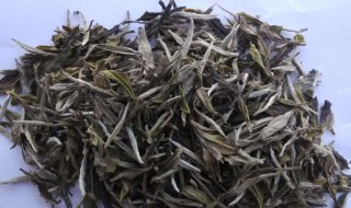 白茶如何分辨好坏 掌握这6点避免被套路