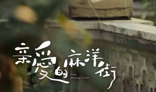 亲爱的麻阳街谭松韵和谁在一起了 亲爱的麻阳街简介