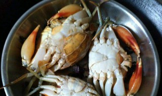 怎么样处理活蟹 处理活蟹的方法
