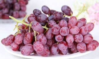 新鲜红提怎么保存 新鲜红提的保存方法